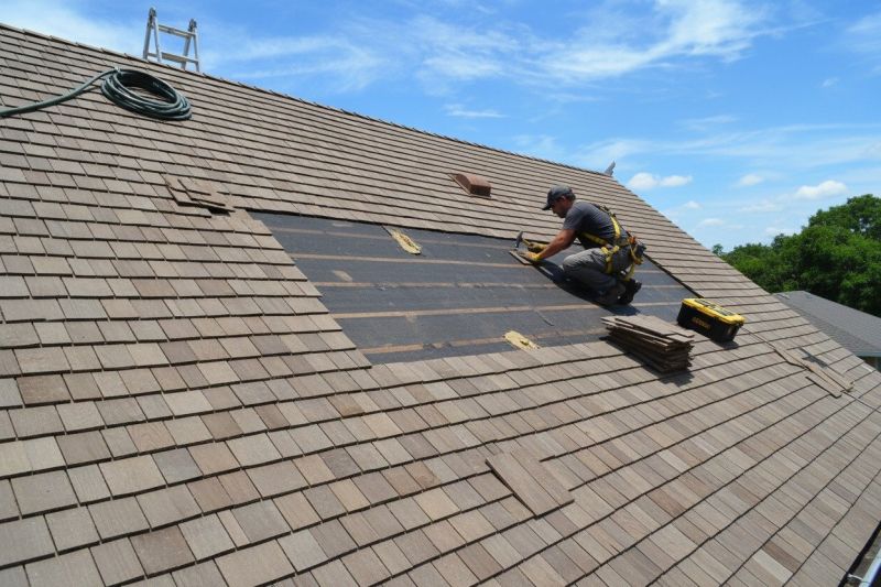 Roof Shingles Replacement